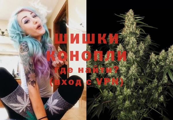 прущие грибы Арсеньев