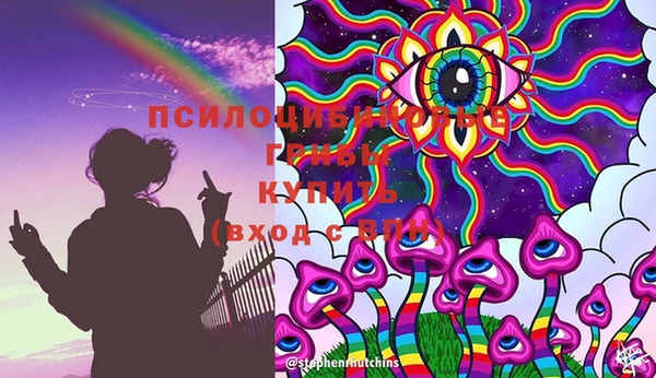 кокс Аркадак