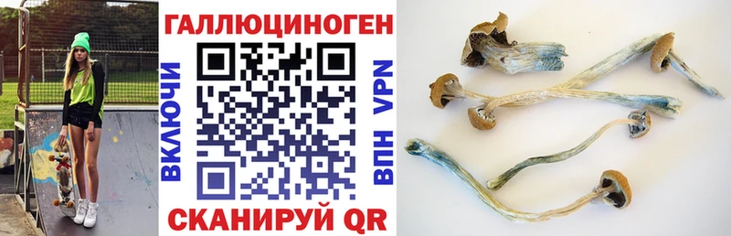 Галлюциногенные грибы Cubensis магазин продажи наркотиков Свирск